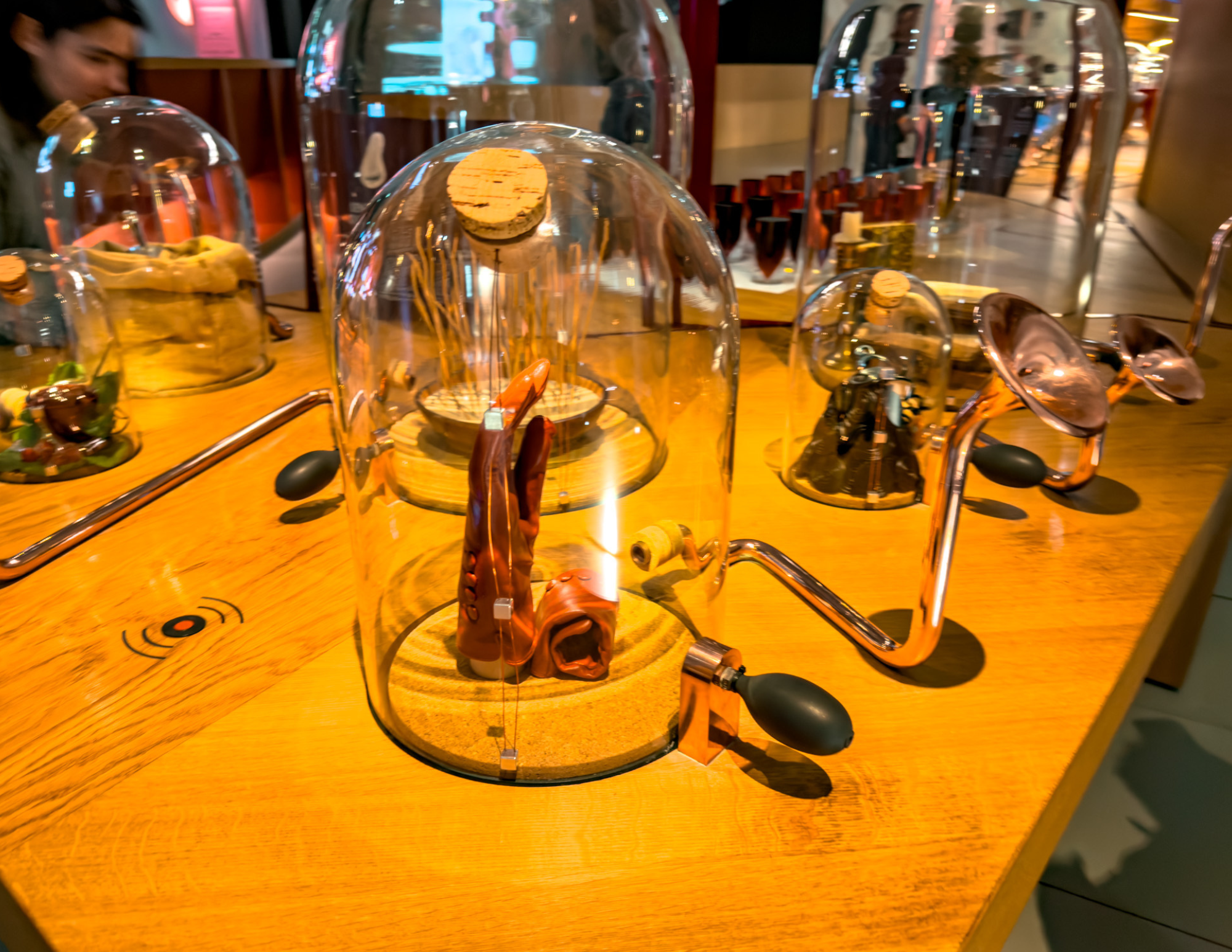 Best Things to Do in Bordeaux France (13).png